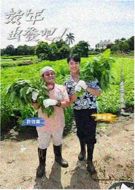 厨房盲盒综艺缩略图